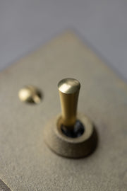 Brass Switch Plate- Rectangle Single Toggle