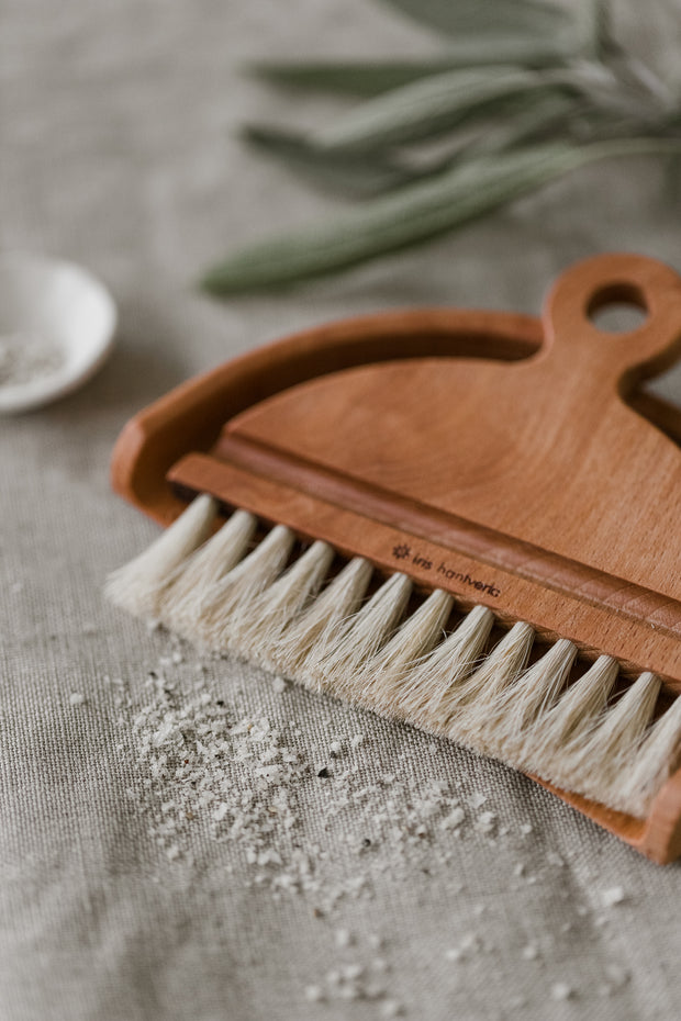 Table Brush and Dust pan Set