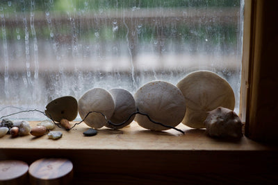 Behind The Scenes | A Coastal Autumn