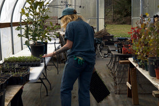 Island Farm Studio | A place of healing