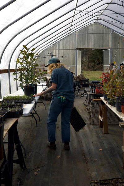 Island Farm Studio | A place of healing