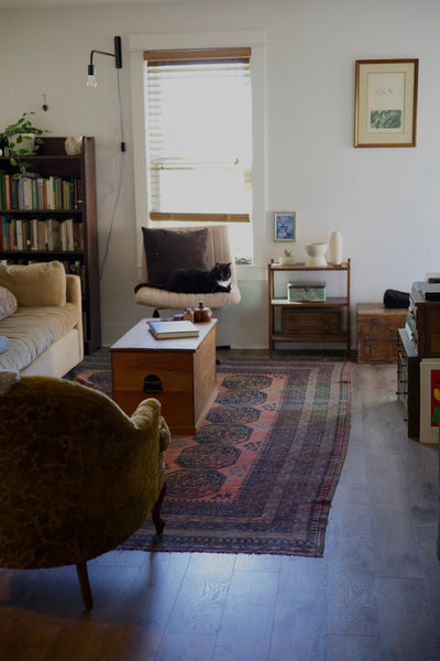 Notary In Your Space | Blake Raspberry