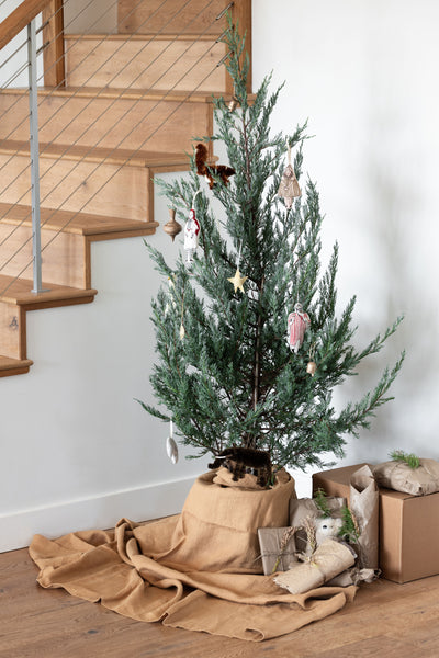 Collecting Holiday Memories