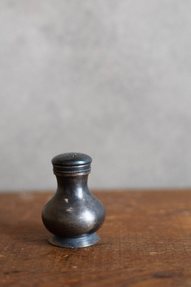 Silver Salt Shaker