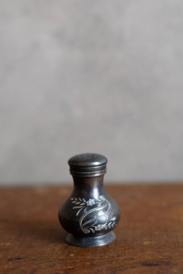 Silver Salt Shaker