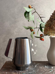 Japanese Stainless Steel Carafe and Creamer Set