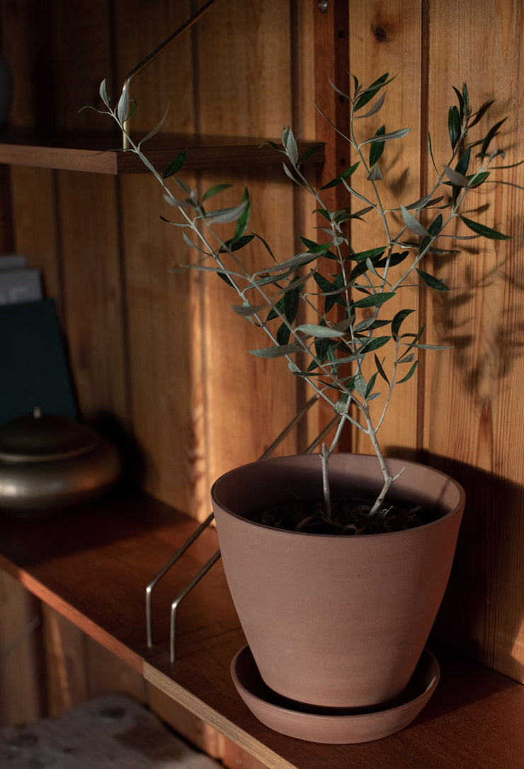 Notary Flared Planter - Terracotta