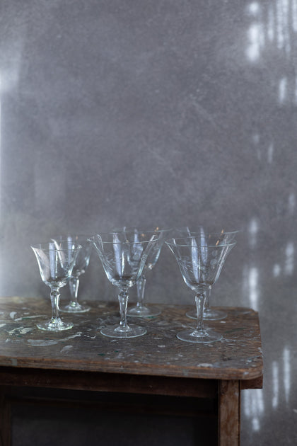 Etched Glass Set