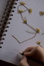 Dandelion Herbarium Journal