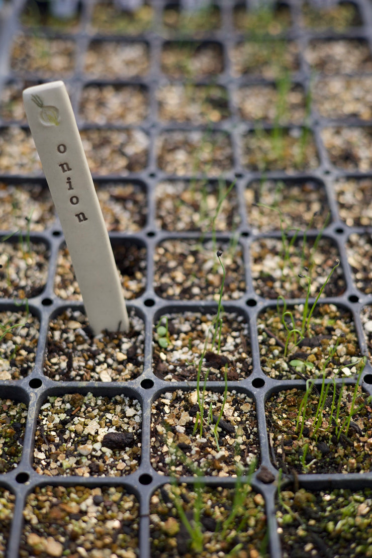 Ceramic Garden Labels