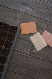 Edible Seed Mix