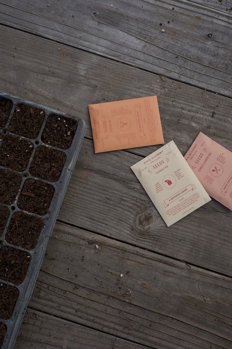 Edible Seed Mix