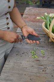 Japanese Rattan Snips