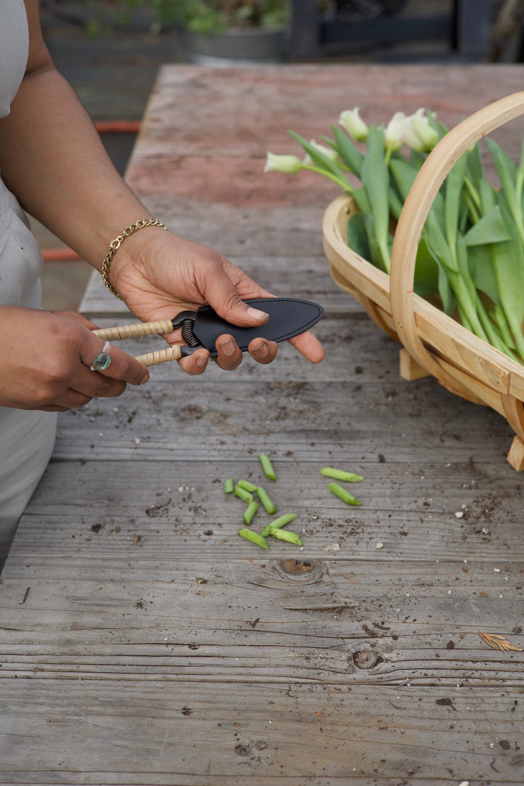 Japanese Rattan Snips