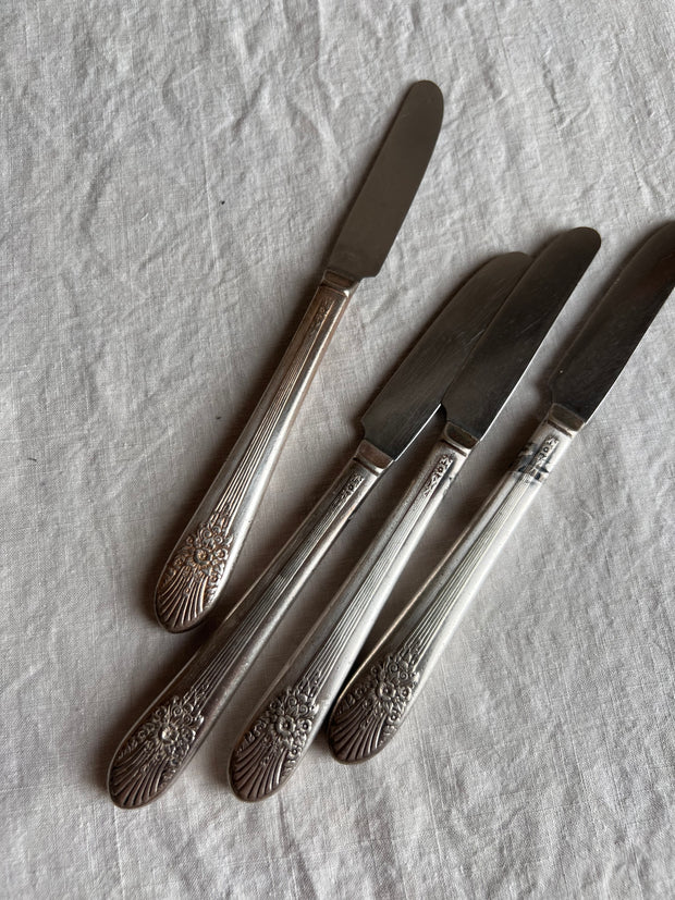 Silver Knife Set