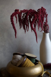 Mustard Velvet Ribbon