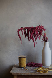 Mustard Velvet Ribbon