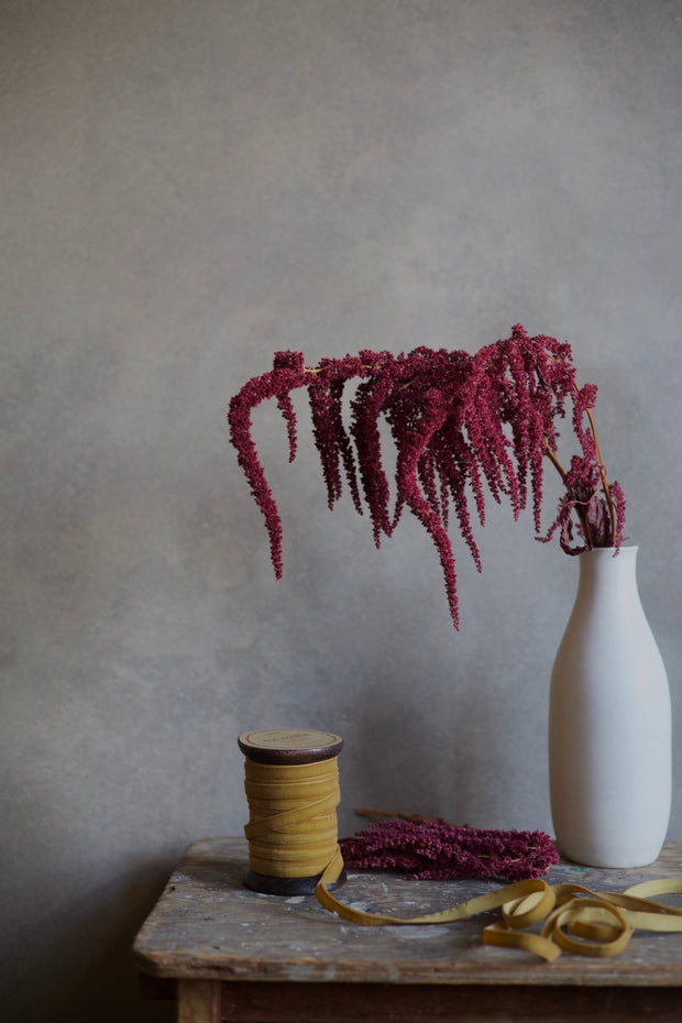 Mustard Velvet Ribbon