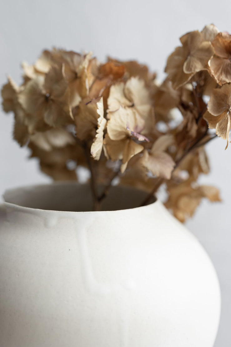 Nemesia Vase - Sand