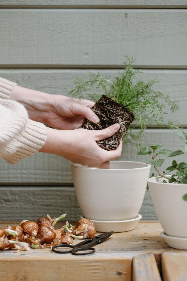 Aline Planter + Saucer - Sand