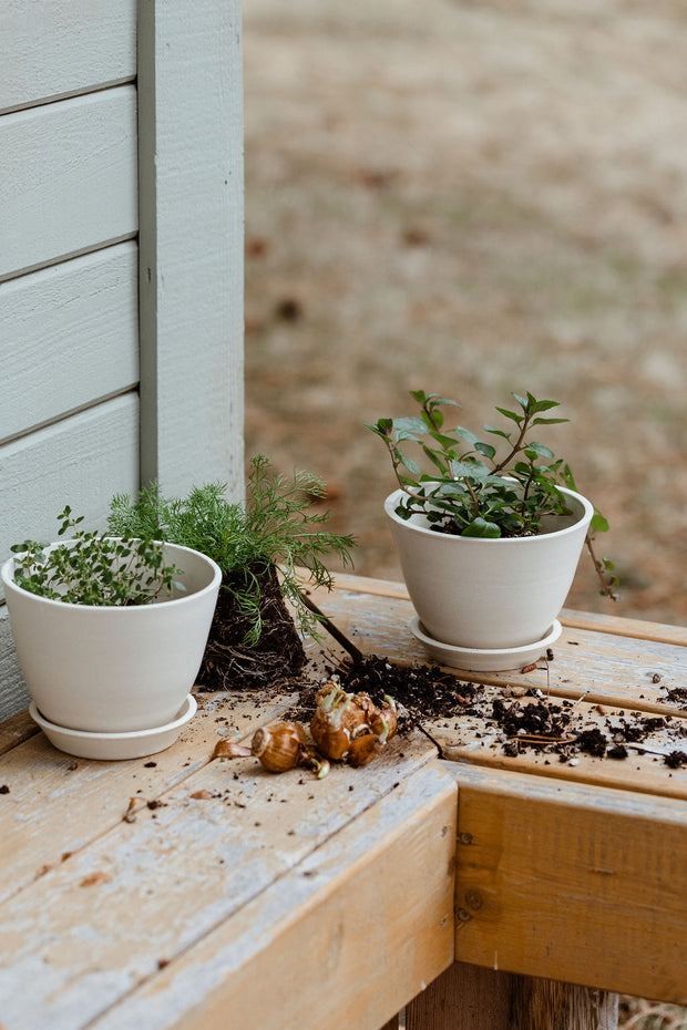 Aline Planter + Saucer - Sand