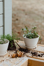 Aline Planter + Saucer - Sand