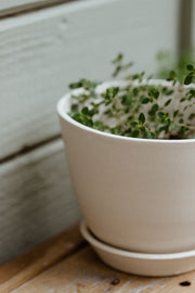 Aline Planter + Saucer - Sand