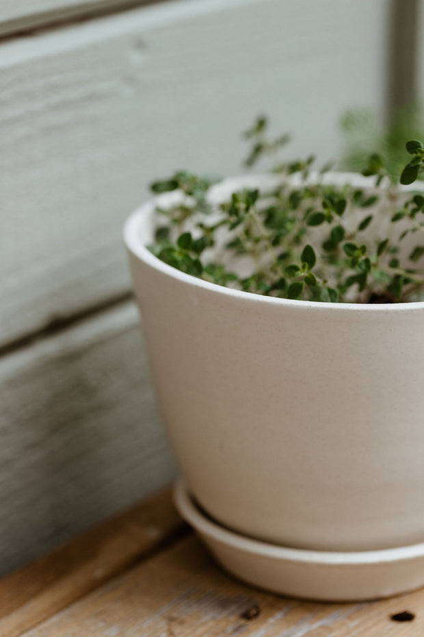 Aline Planter + Saucer - Sand