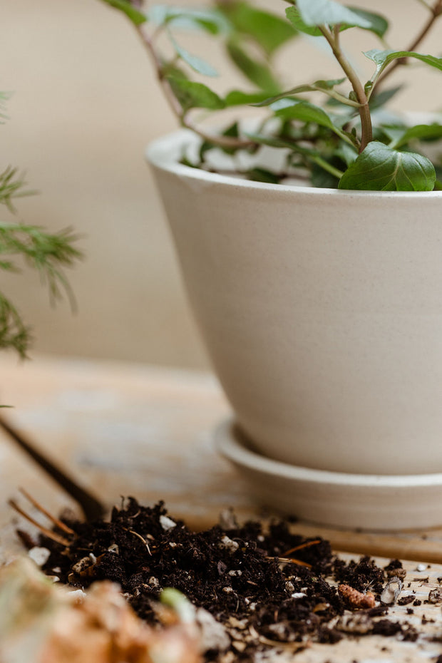 Aline Planter + Saucer - Sand