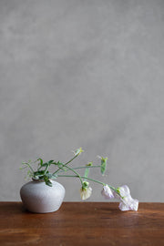 Daphne Bud Vase