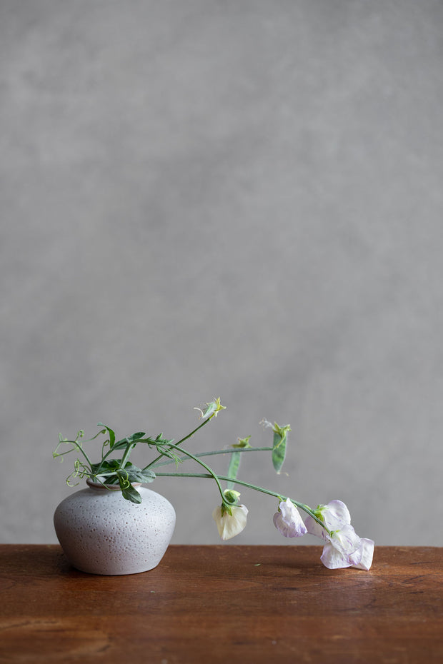 Daphne Bud Vase