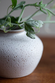 Daphne Bud Vase