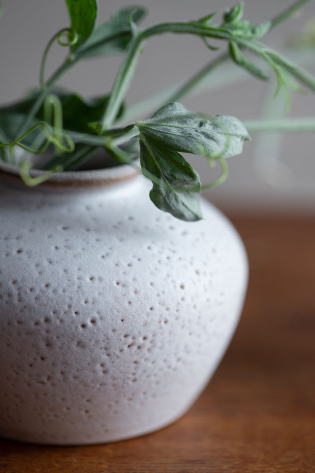 Daphne Bud Vase