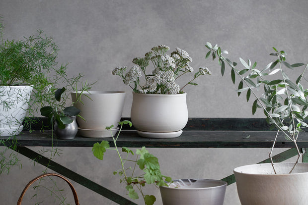Curve Planter + Saucer - Soft White