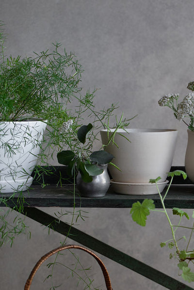 Aline Planter + Saucer - Matte White