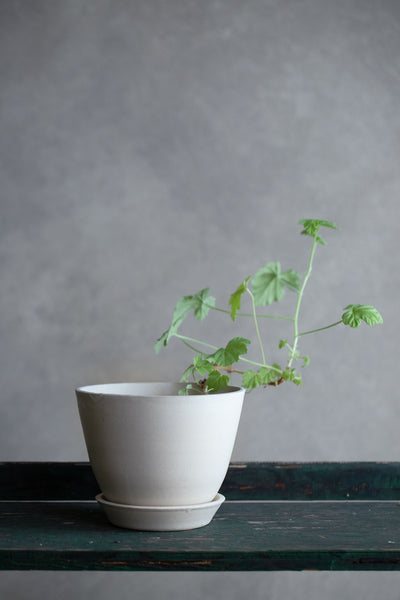 Aline Planter + Saucer - Sand