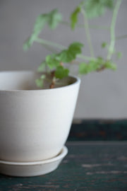 Aline Planter + Saucer - Sand