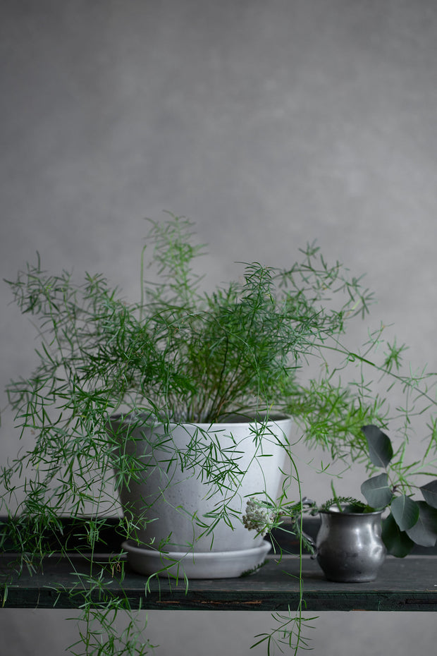 Aline Planter + Saucer - Matte Grey