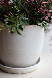 Conical Planter + Saucer / Matte Grey