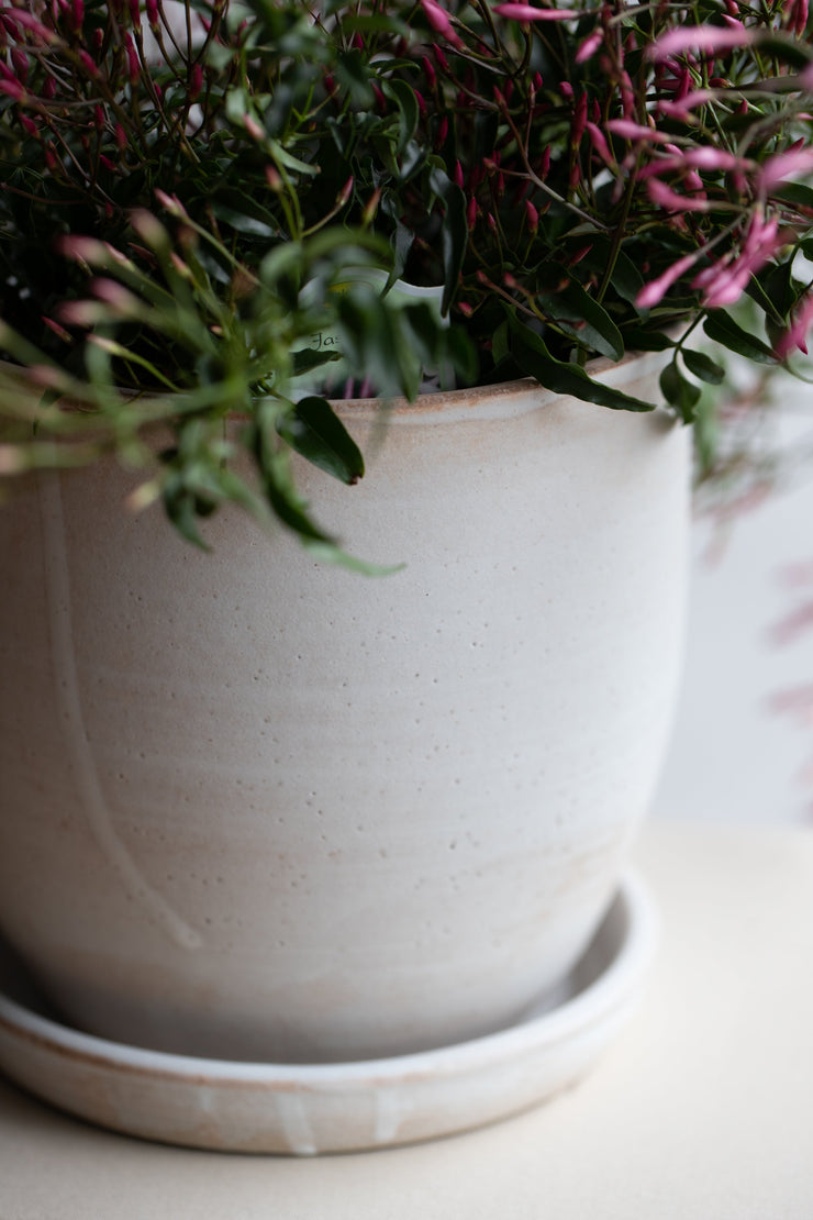 Conical Planter + Saucer / Matte Grey