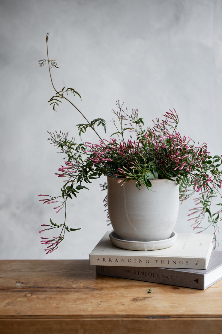 Conical Planter + Saucer / Matte Grey