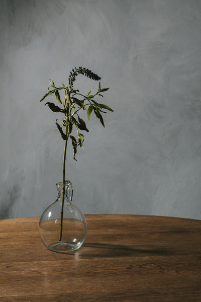Jug Roi