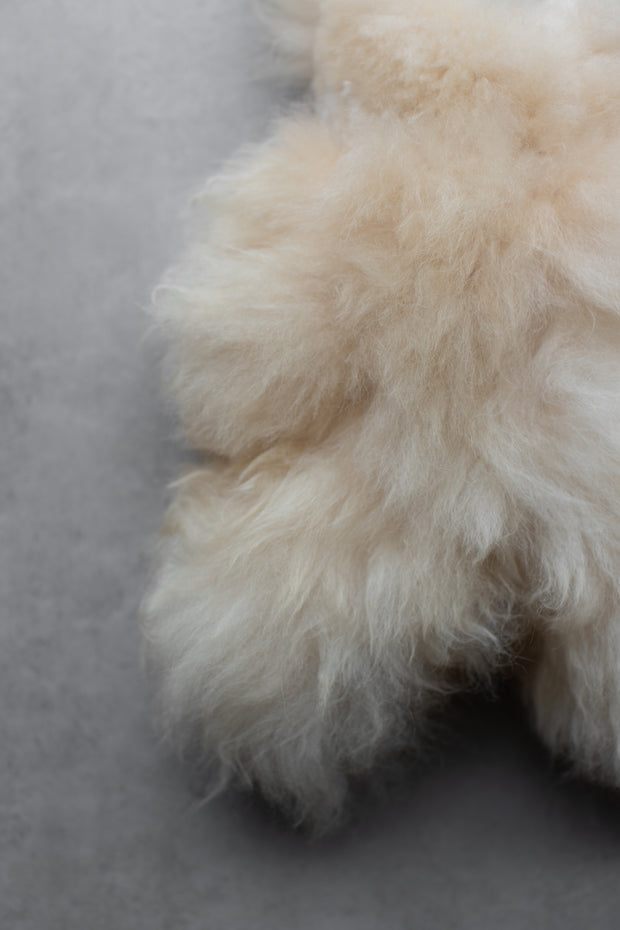 Alpaca Bear - Assorted