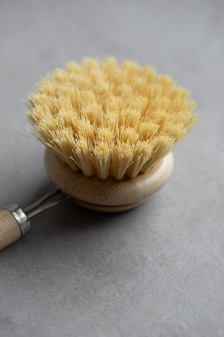 Long Handle Dish Brush