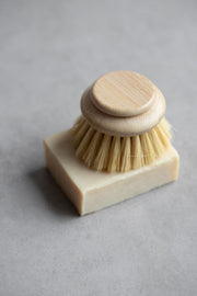 Long Handle Dish Brush