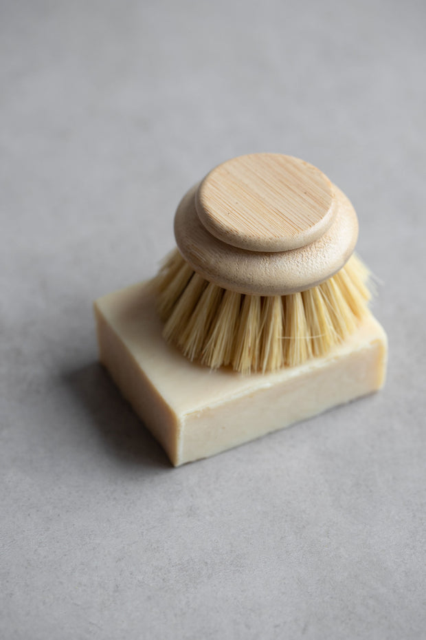 Long Handle Dish Brush