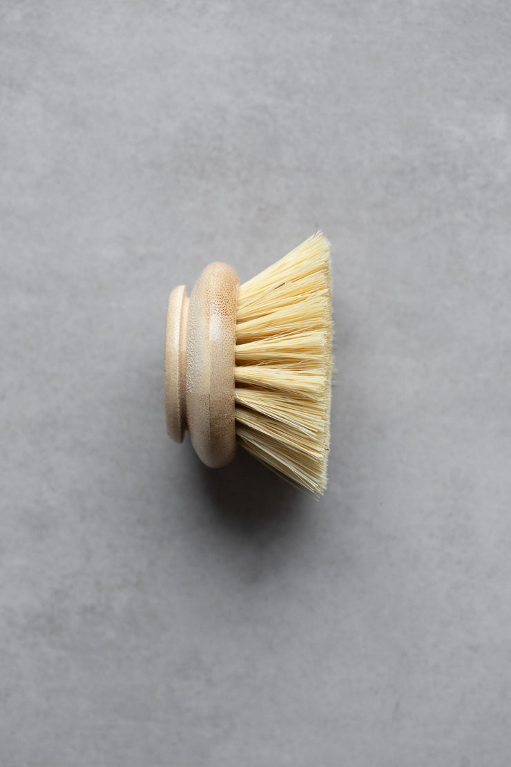 Long Handle Dish Brush