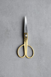 Brass Scissors