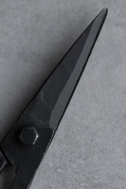 Iron Scissors