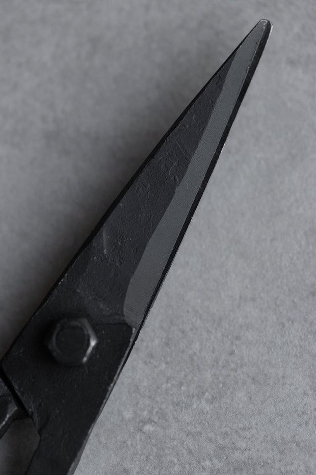 Iron Scissors